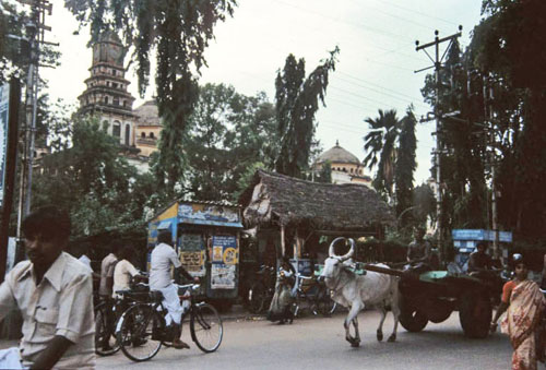 INDIA-26