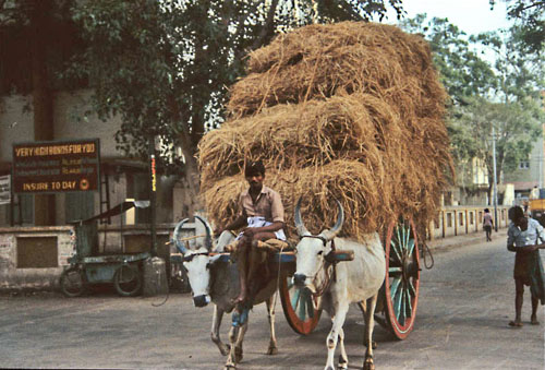INDIA-76